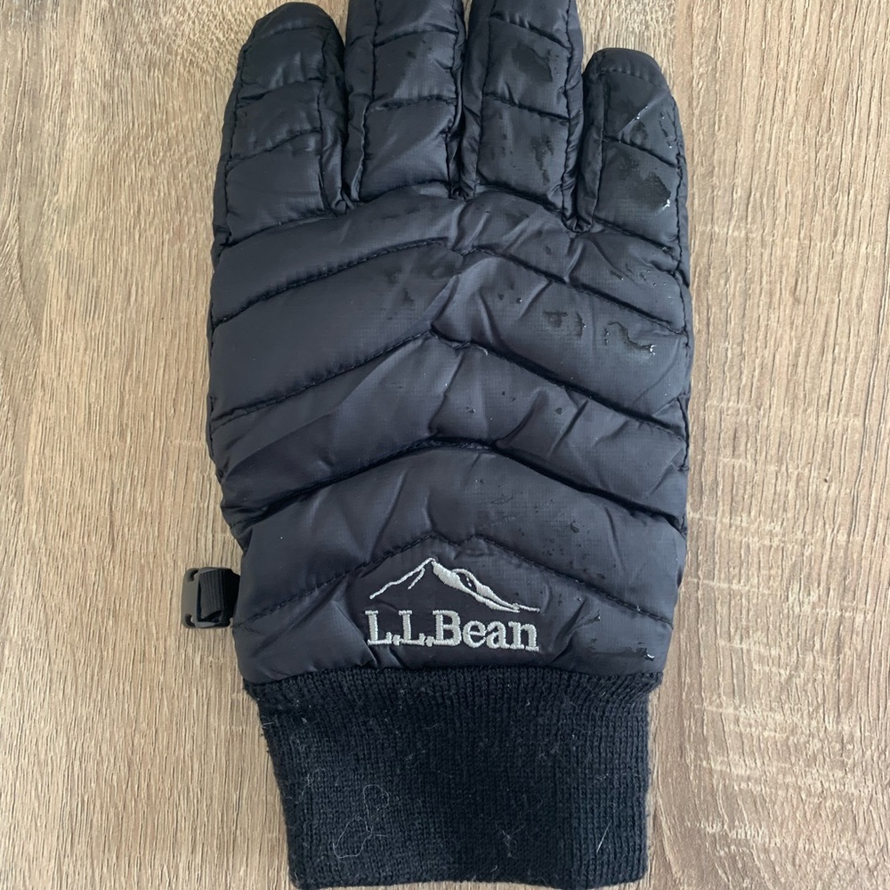 ISO ll bean womens 850 down gloves. Pair or left one